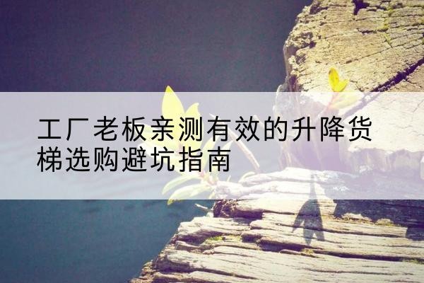 正宁升降货梯怎么选-工厂老板亲测有效的升降货梯选购避坑指南