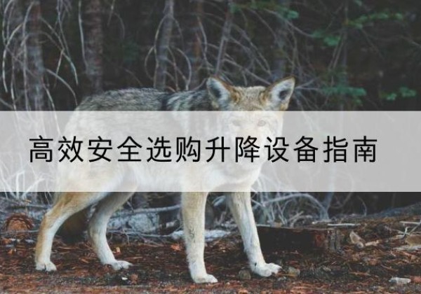 正宁升降货梯厂家推荐-*安全选购升降设备指南