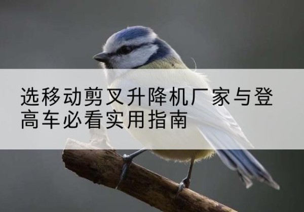 正宁电动升降机厂家-选移动剪叉升降机厂家与登高车必看实用指南