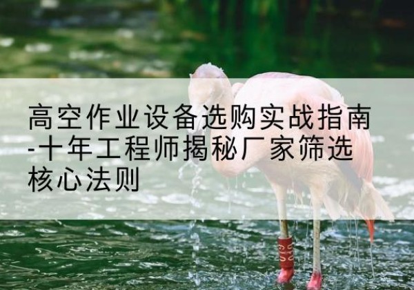 正宁剪叉式升降机厂家-高空作业设备选购实战指南-十年工程师揭秘厂家筛选核心法则